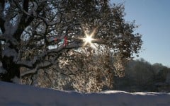 Winter is coming: snowy days are finally here