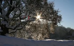 Winter is coming: snowy days are finally here