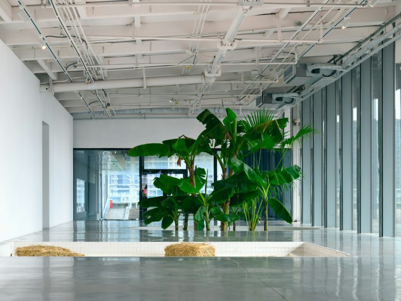 Mural-wrapped warehouse with creative-office approvals — creative office space