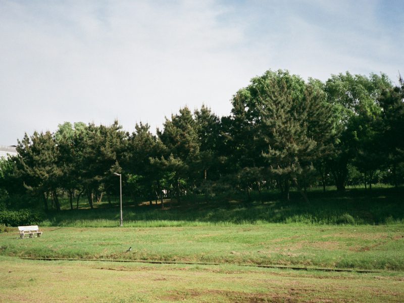 Buildable estate lot on Tigertail Avenue — the cleared lot