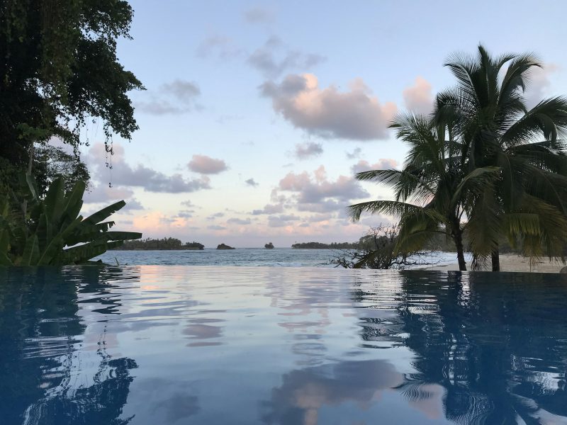 Updated ranch with a pool in the North Gables — pool and garden
