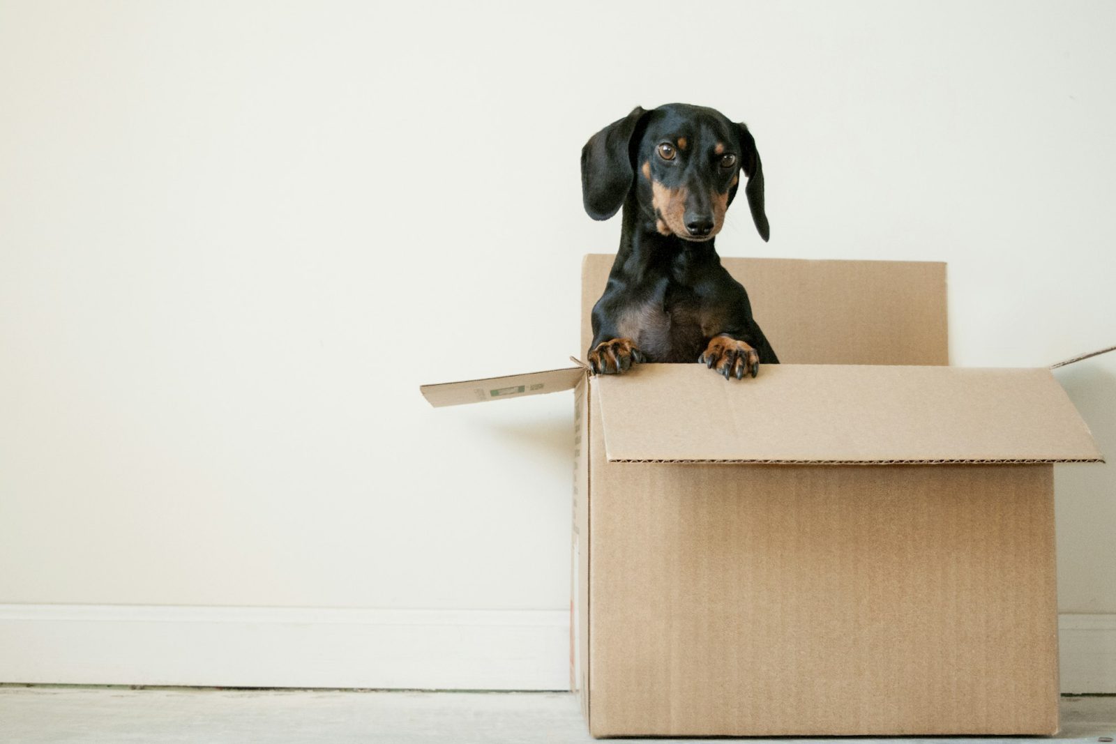 The ultimate Miami moving checklist