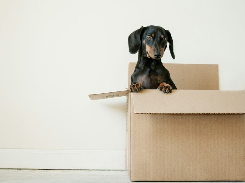 The ultimate Miami moving checklist