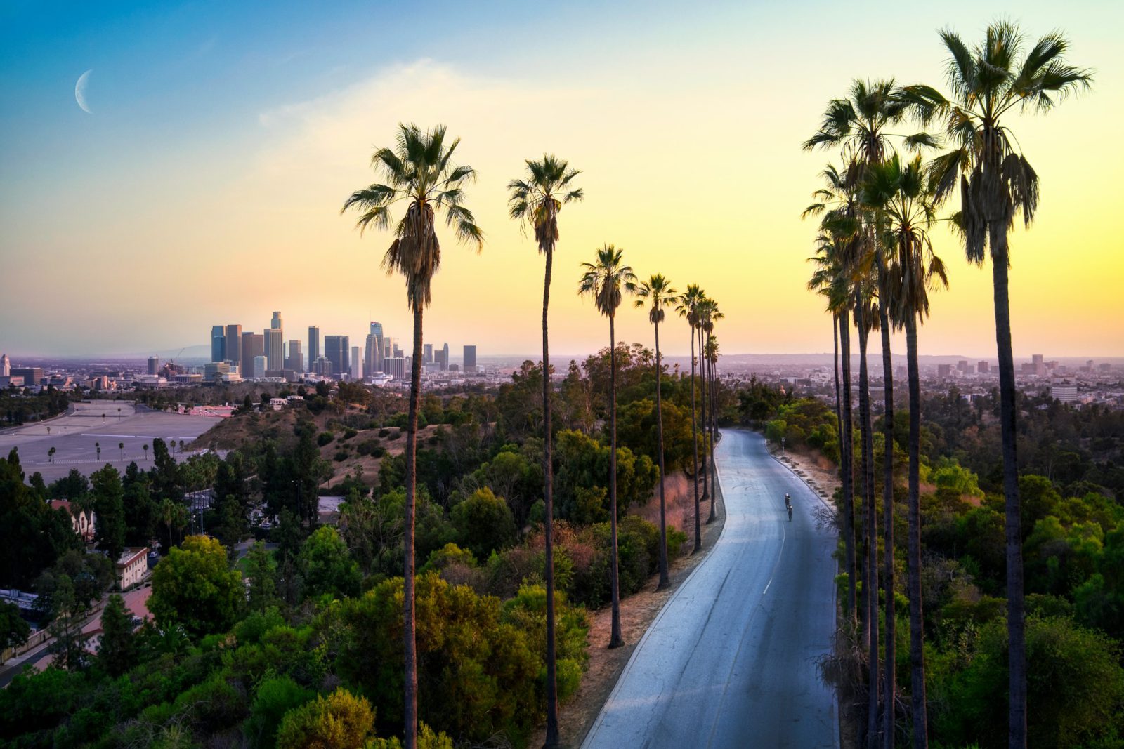 Road with palm trees with Los Angeles in the background.