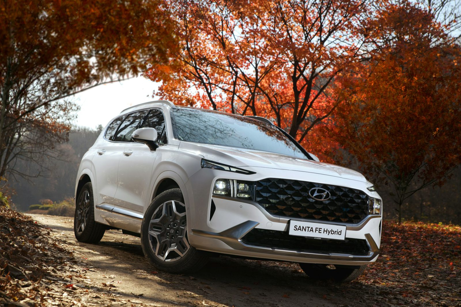 White Hyundai Santa Fe, front three-quarter view