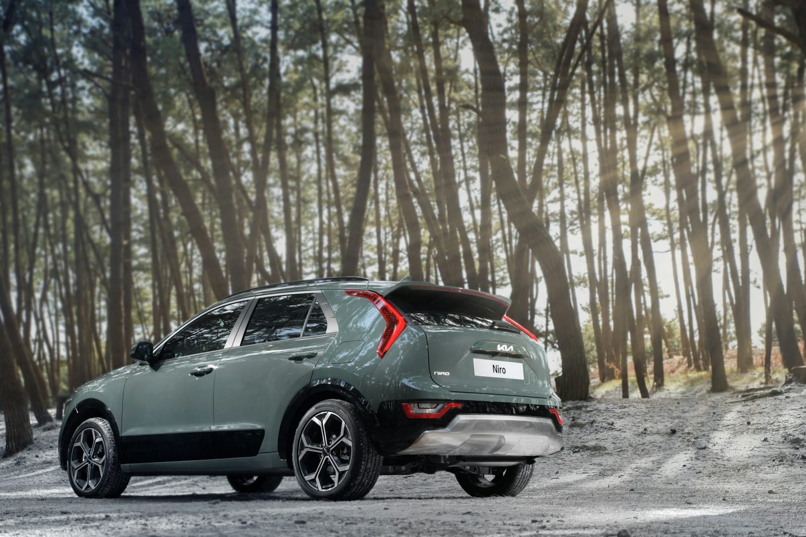Green Kia Niro, rear three-quarter view