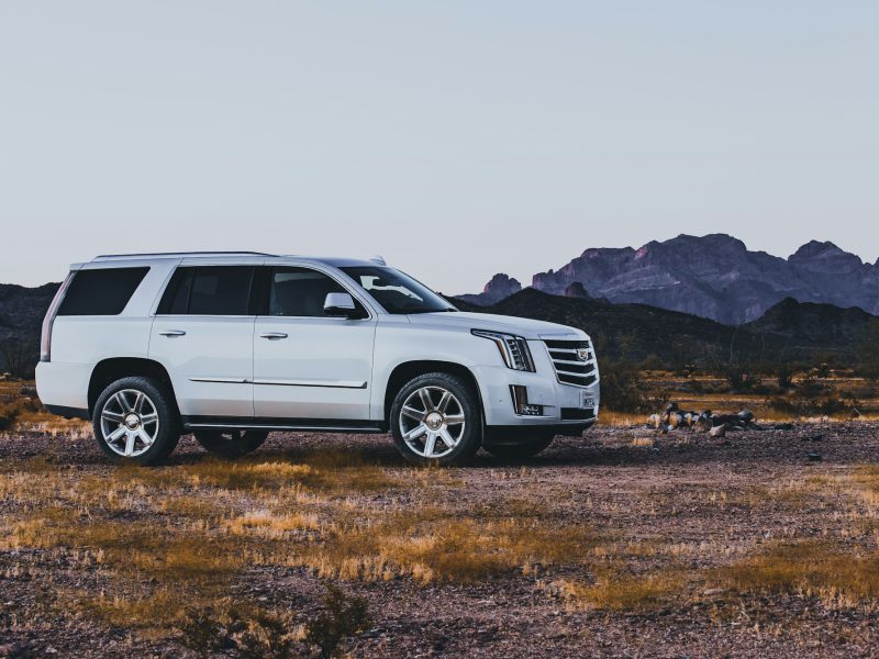 White Cadillac Escalade, front three-quarter view