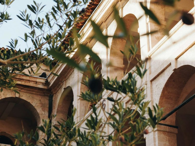 Villa Solitaria — garden