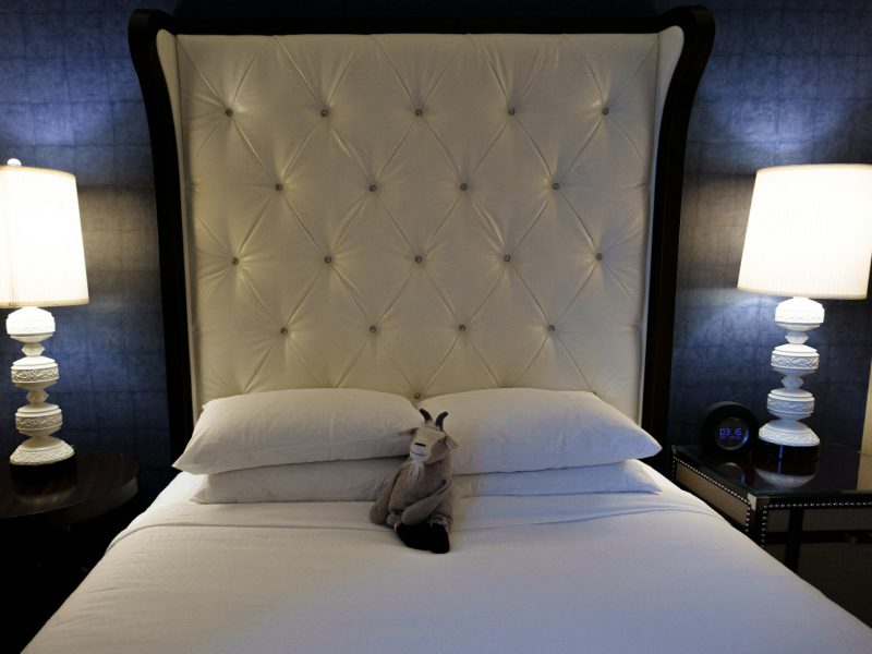 Terrace Suite