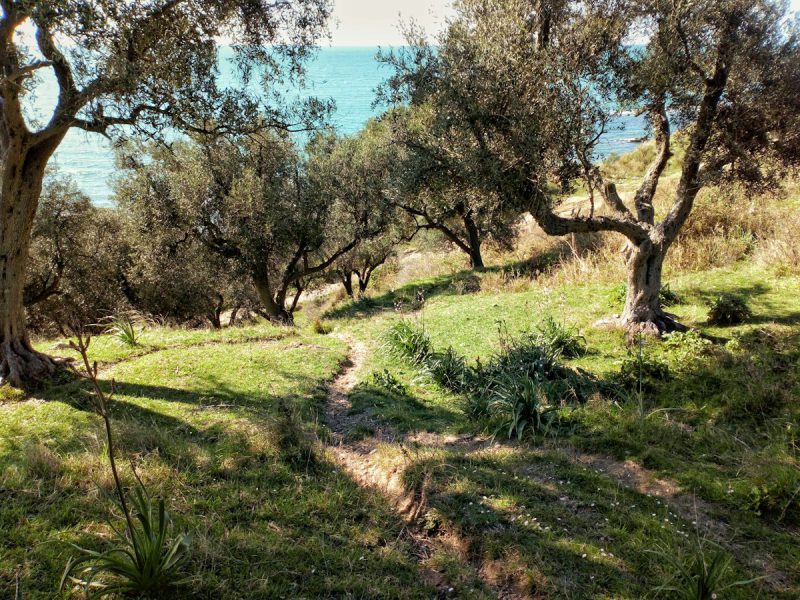 Villa Pergolato — garden