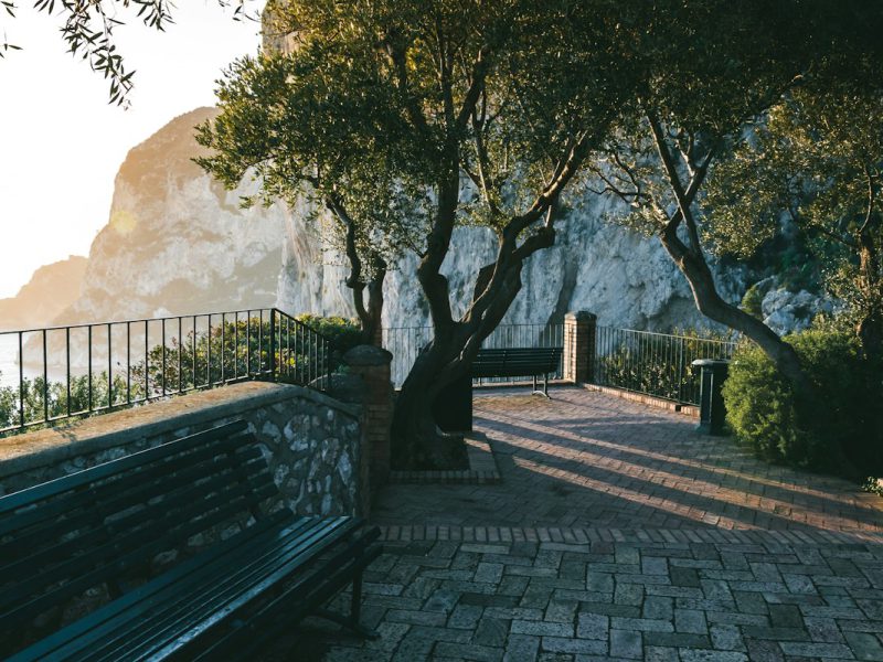 Villa dei Glicini — garden