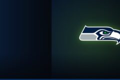 The road to the final, round by round
