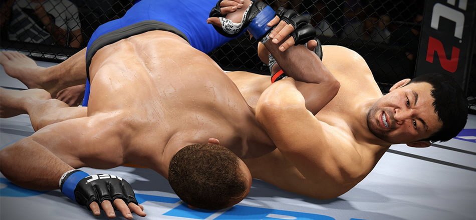 The Match Officials Ended the Fight Before it Was Over