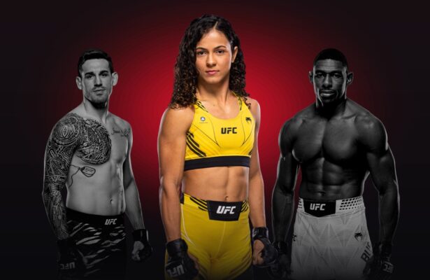 The fight calendar