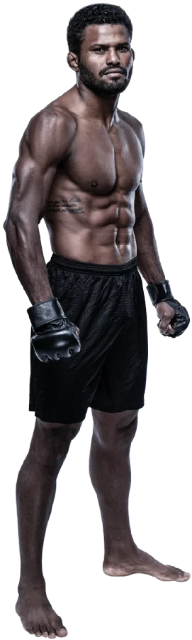 Ednilson Santos