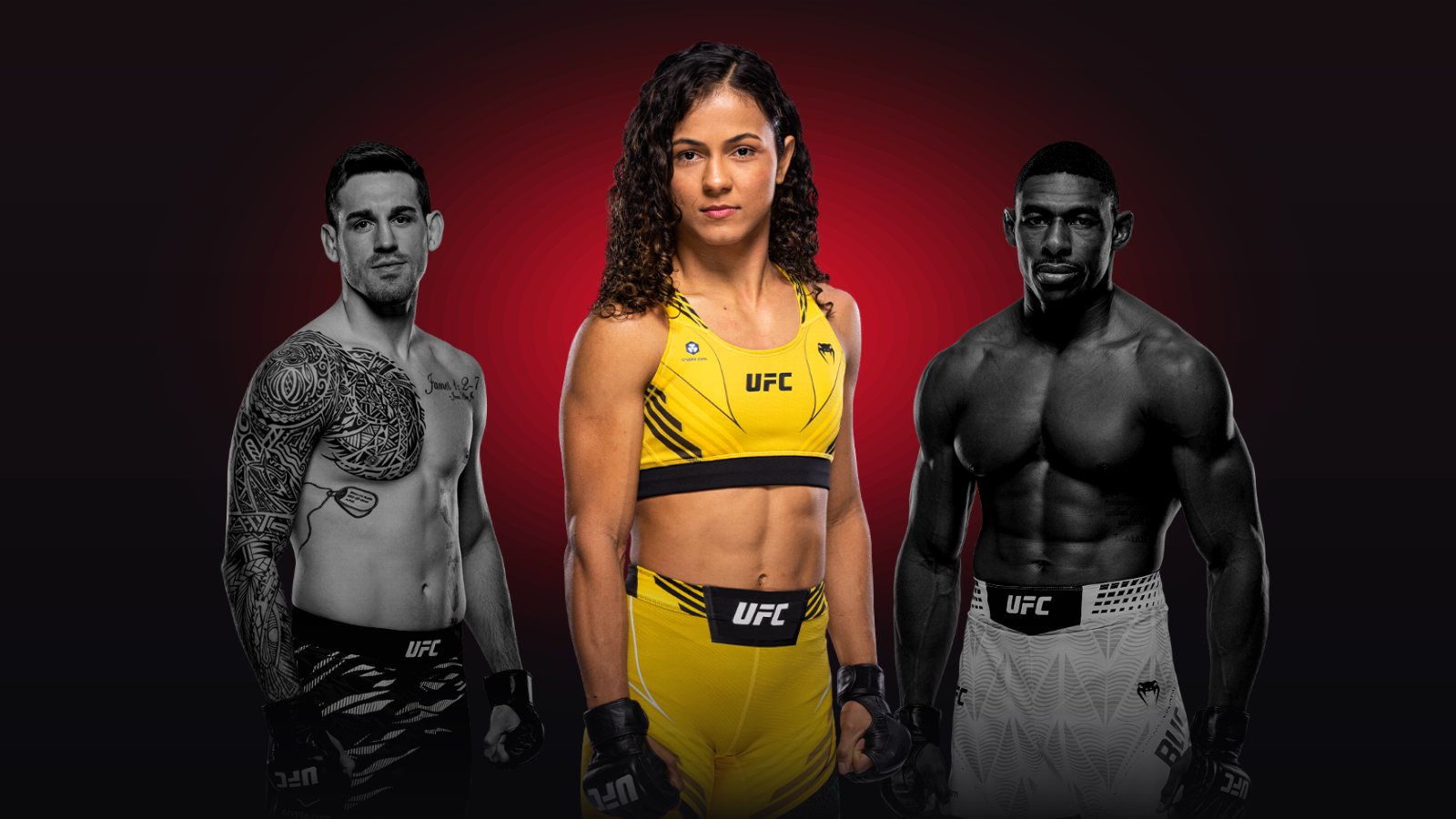 The fight calendar: every card booked so far