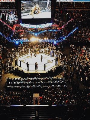 amsterdam_mma