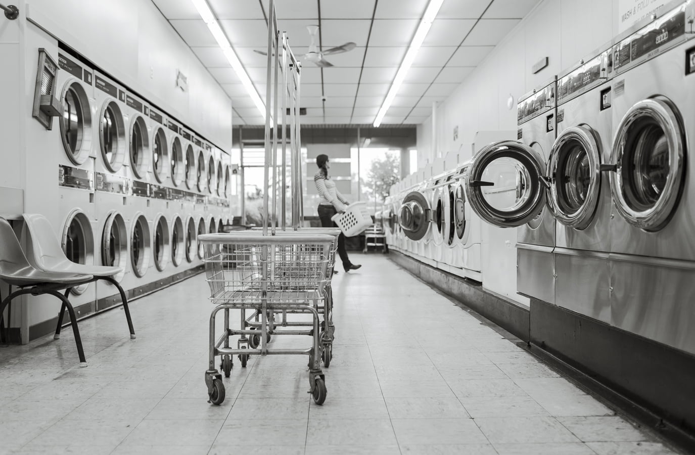 Washerman’s Creed: Try and be Something Completely Different