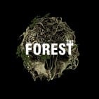 Can you survive The Forest?