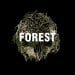Can you survive The Forest?