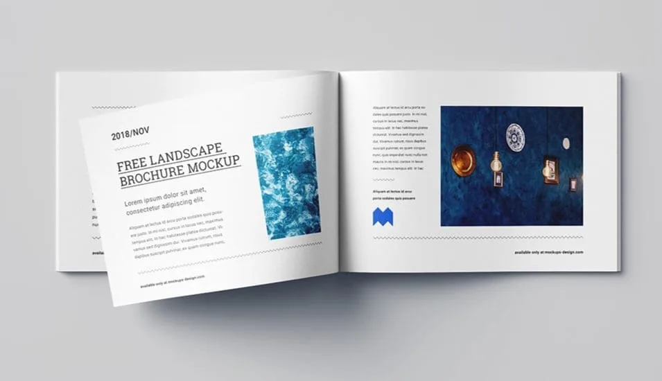 StepFox Development Focus: Sports WP Themes