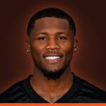 Tee Higgins