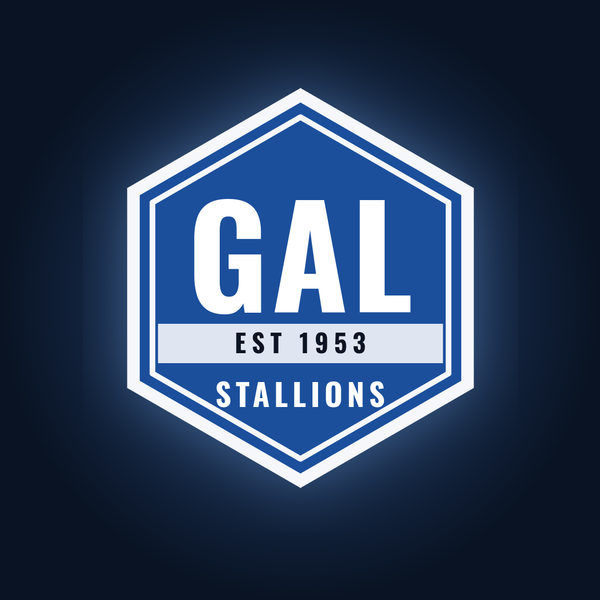Gallatin Stallions